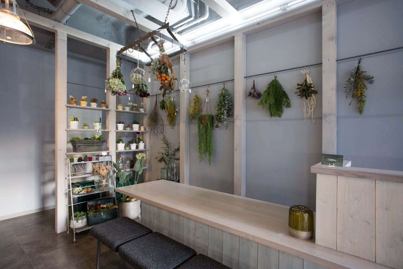 suecica(株式会社 navarro)画像1