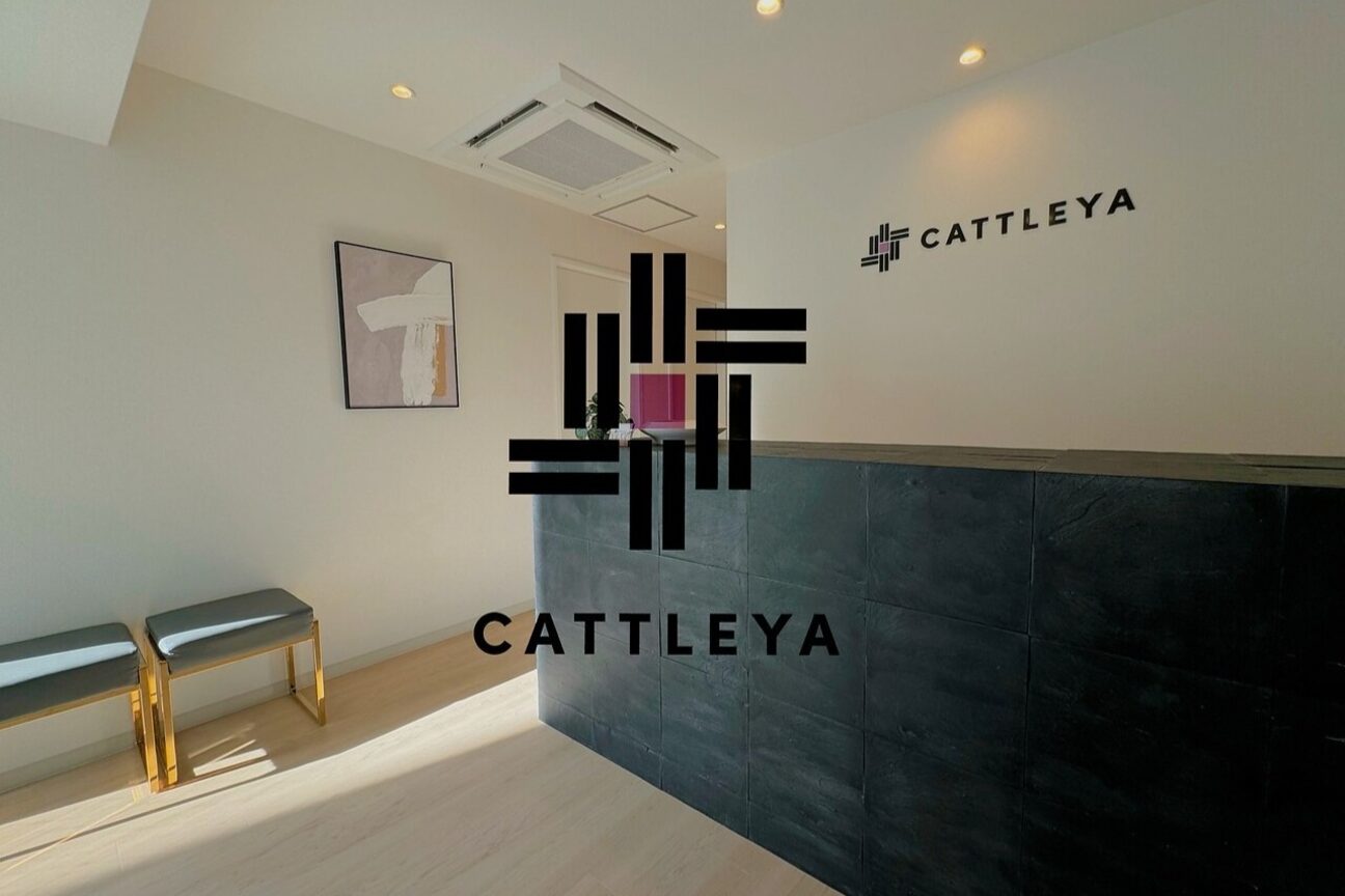 株式会社　ＭＳ．Ｐｒｏｊｅｃｔ画像1