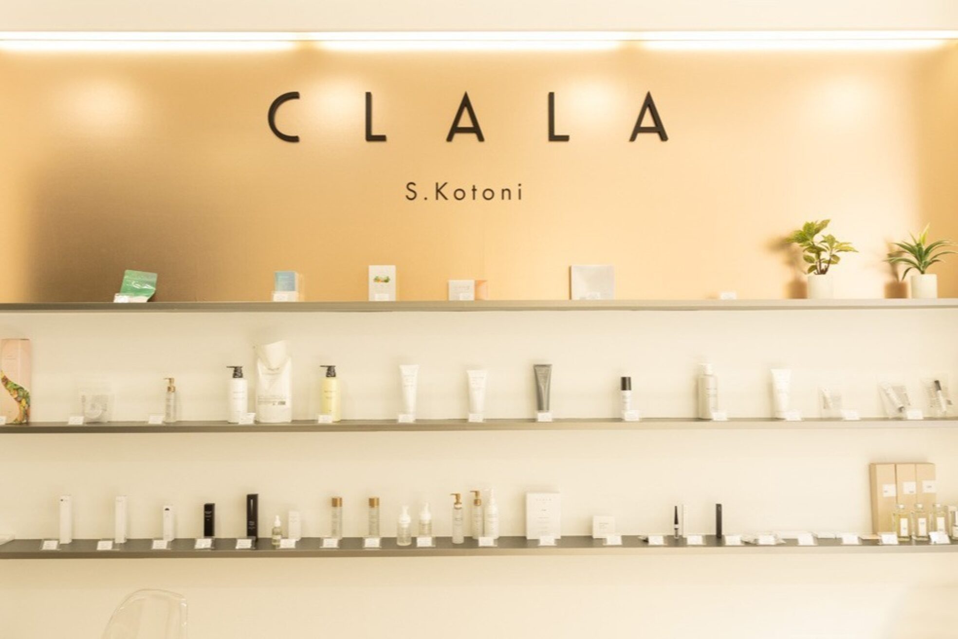 クララ 札幌琴似店(CLALA S.Kotoni)19