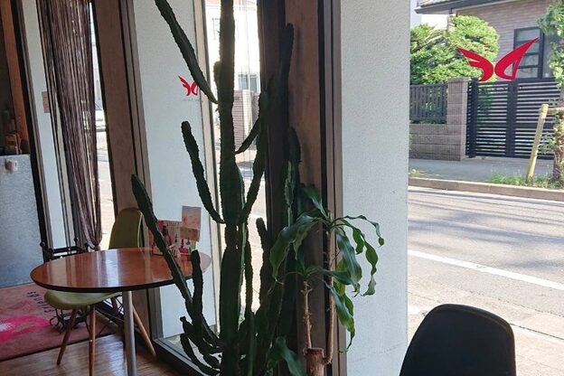 ディア フレンズ 府中店(Dear Friends)4