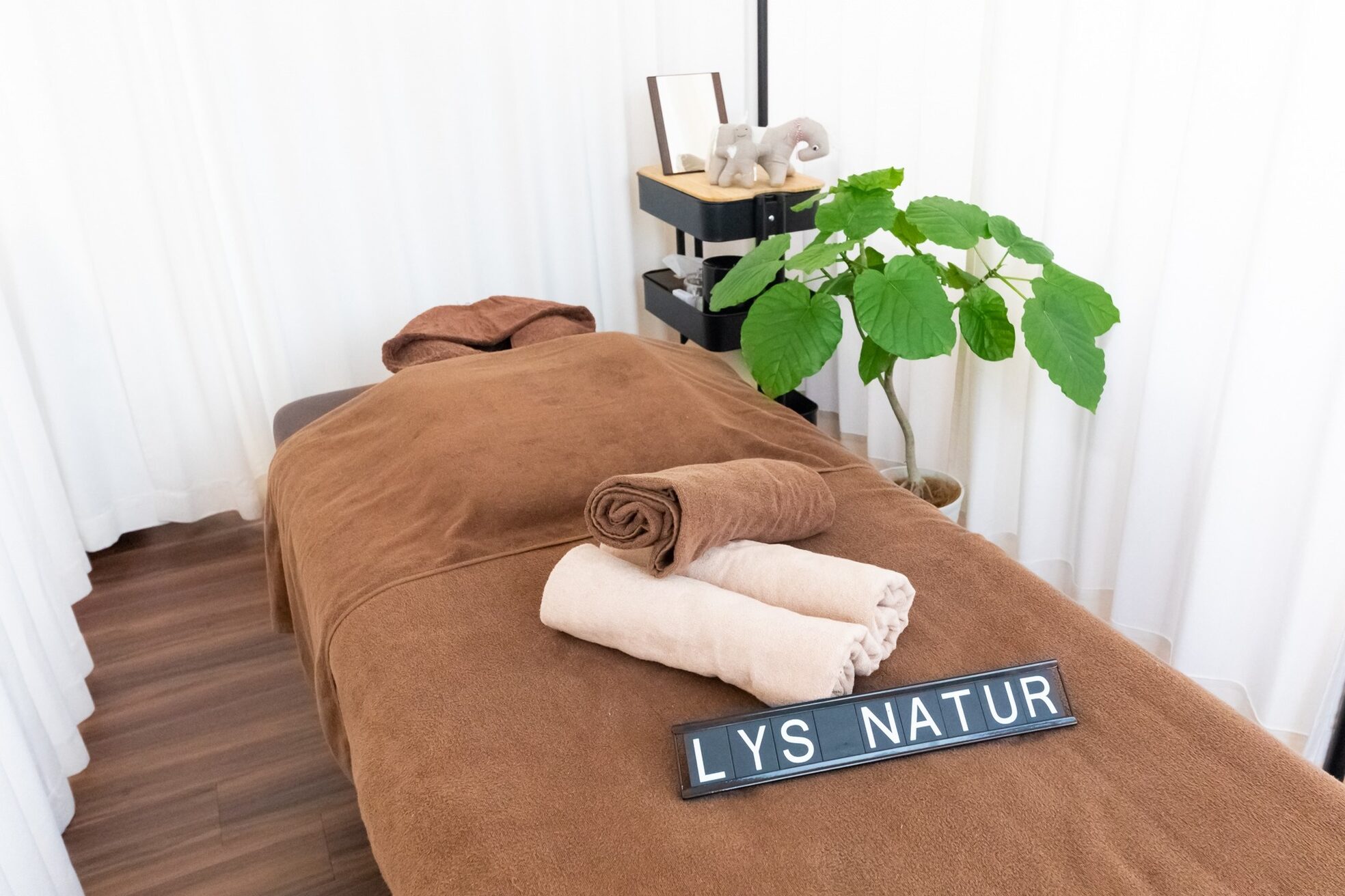 リューズナチュア(Lys Natur)2