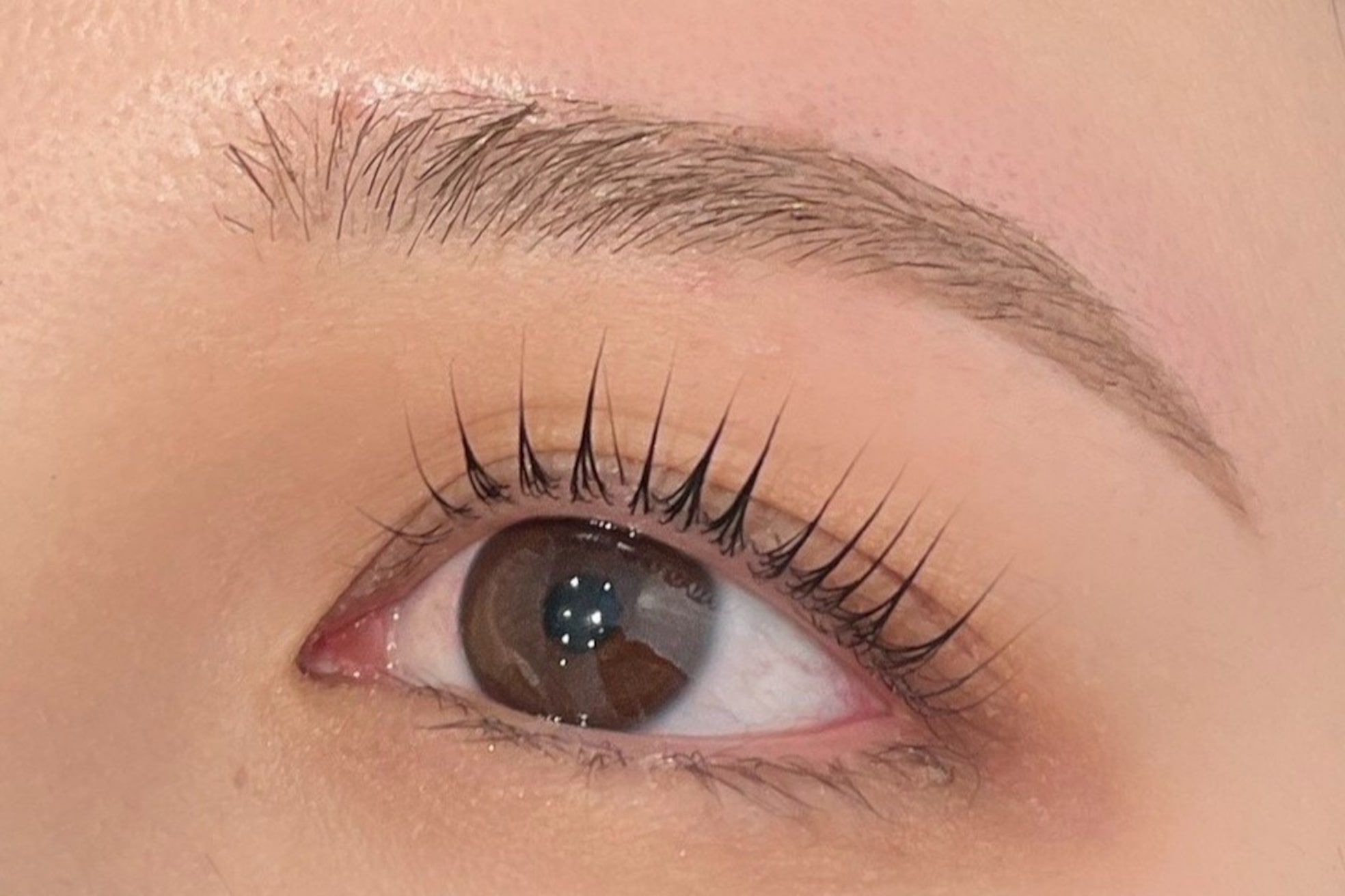 リディーブ 武蔵小杉(Ridive)5