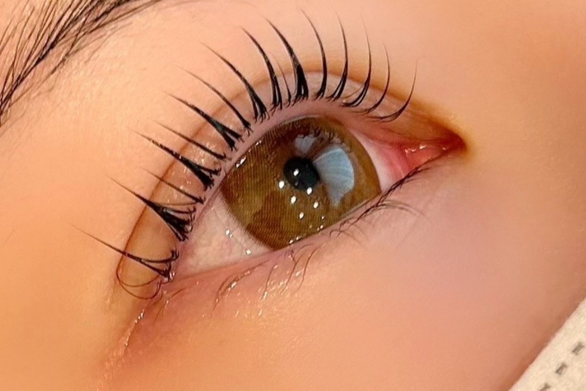 リディーブ 武蔵小杉(Ridive)4