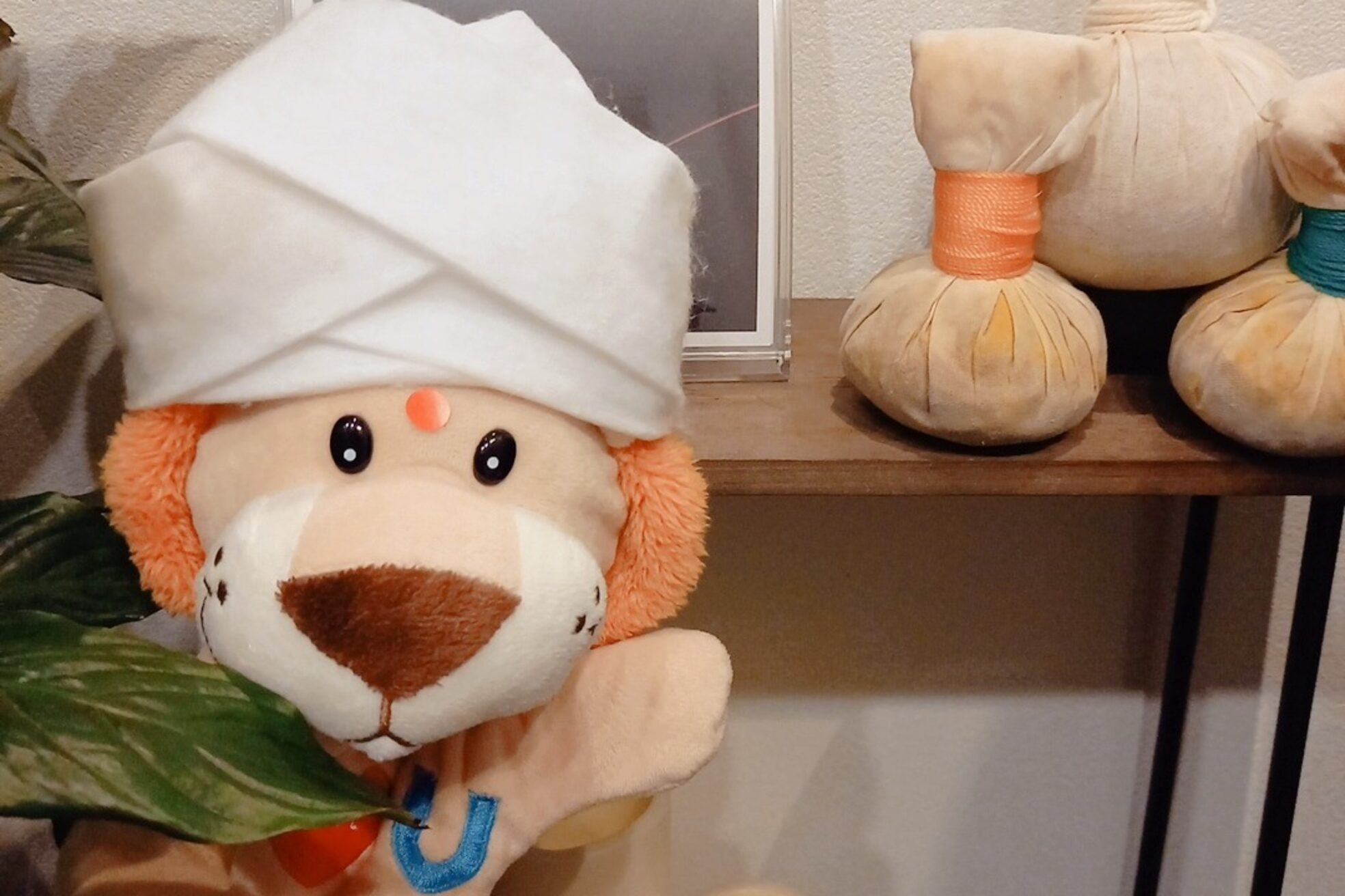 ハナノコ(HANANOKO)2