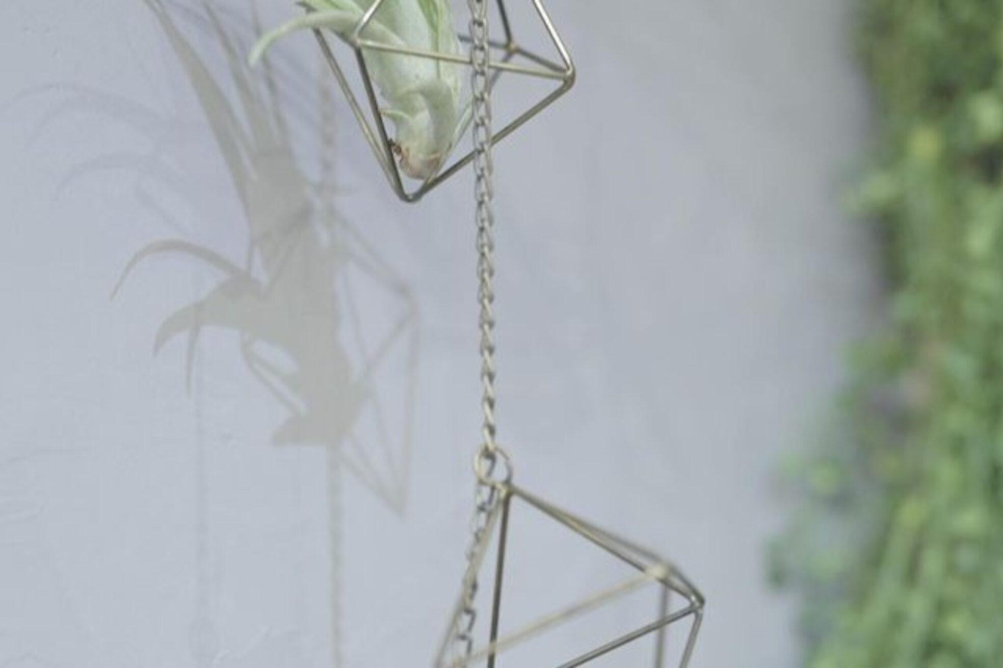 ツリー(Tree. Hair & Spa)3