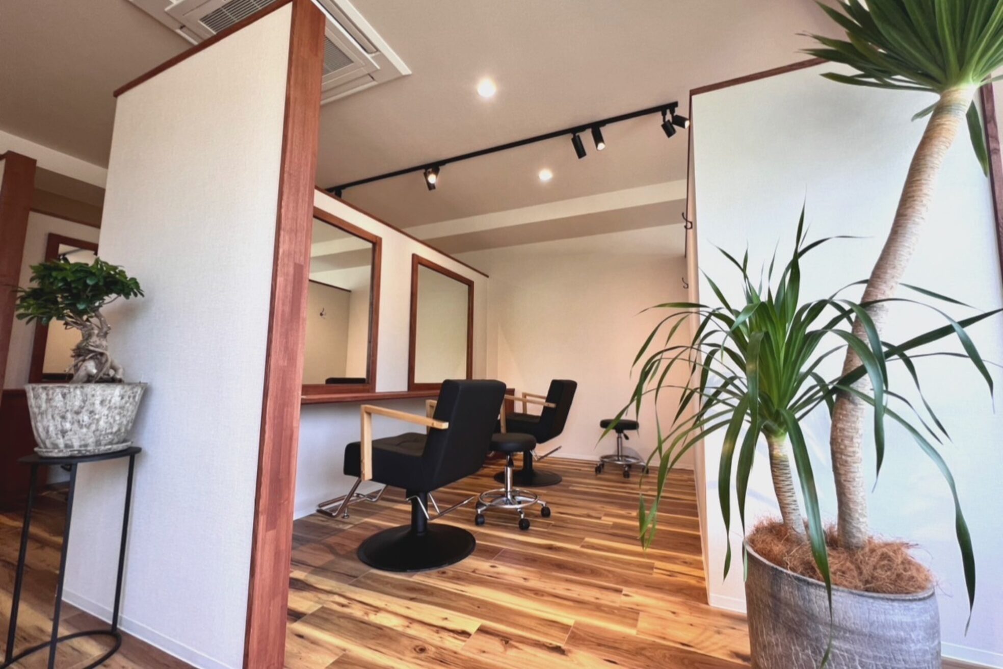 ゼンドット キョウト(Zen. kyoto)1