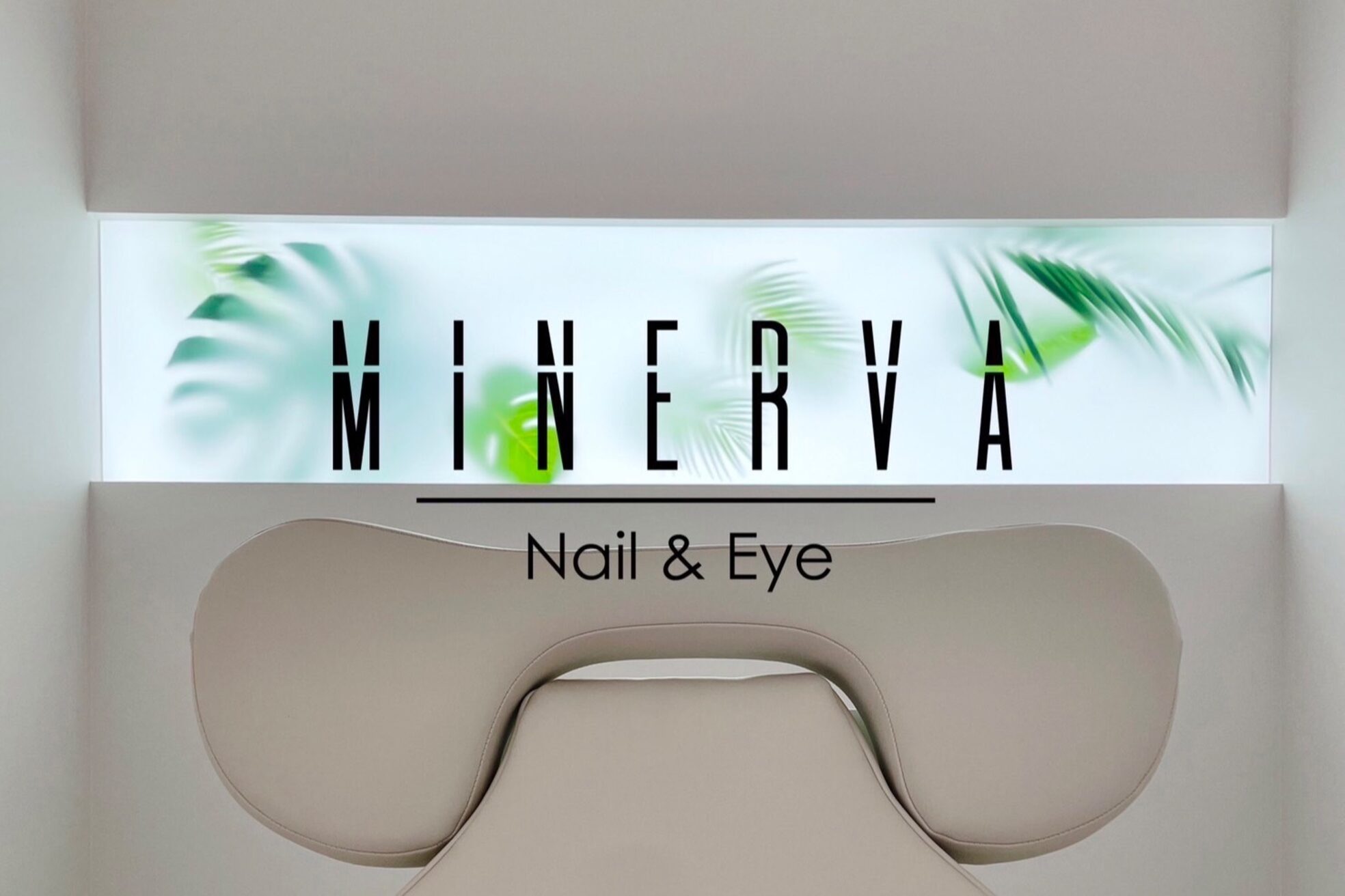 ミネルバ アイ(MINERVA eye)1