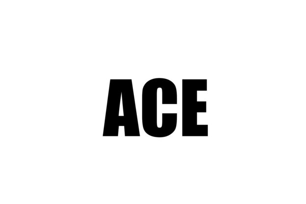 エース(ACE)4