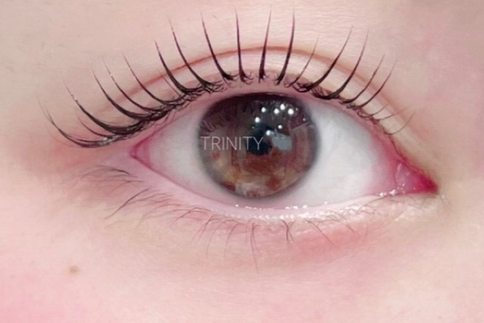 トリニティー(TRINITY)6