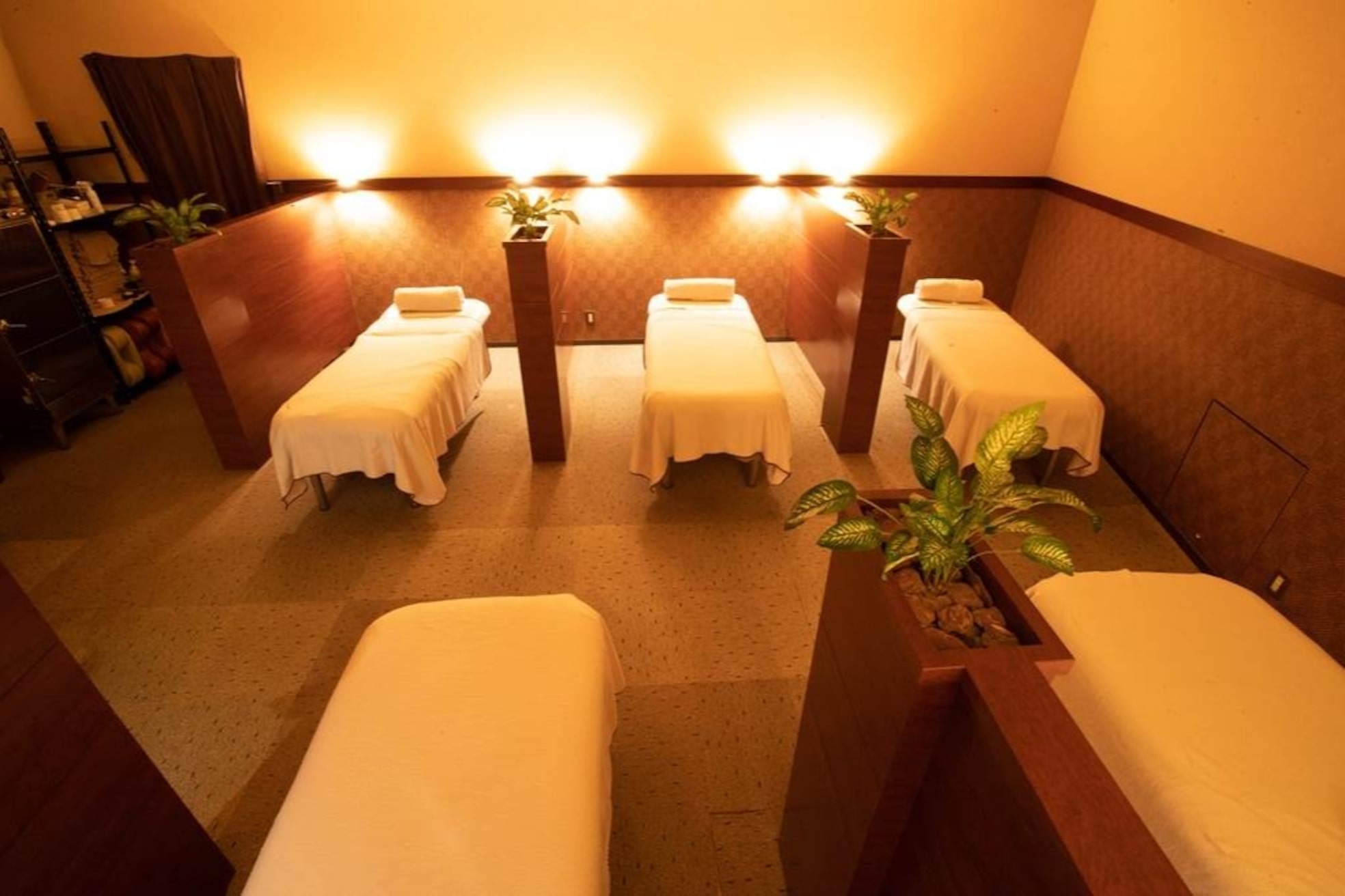 アジアンハーブス スパイラルタワー店2