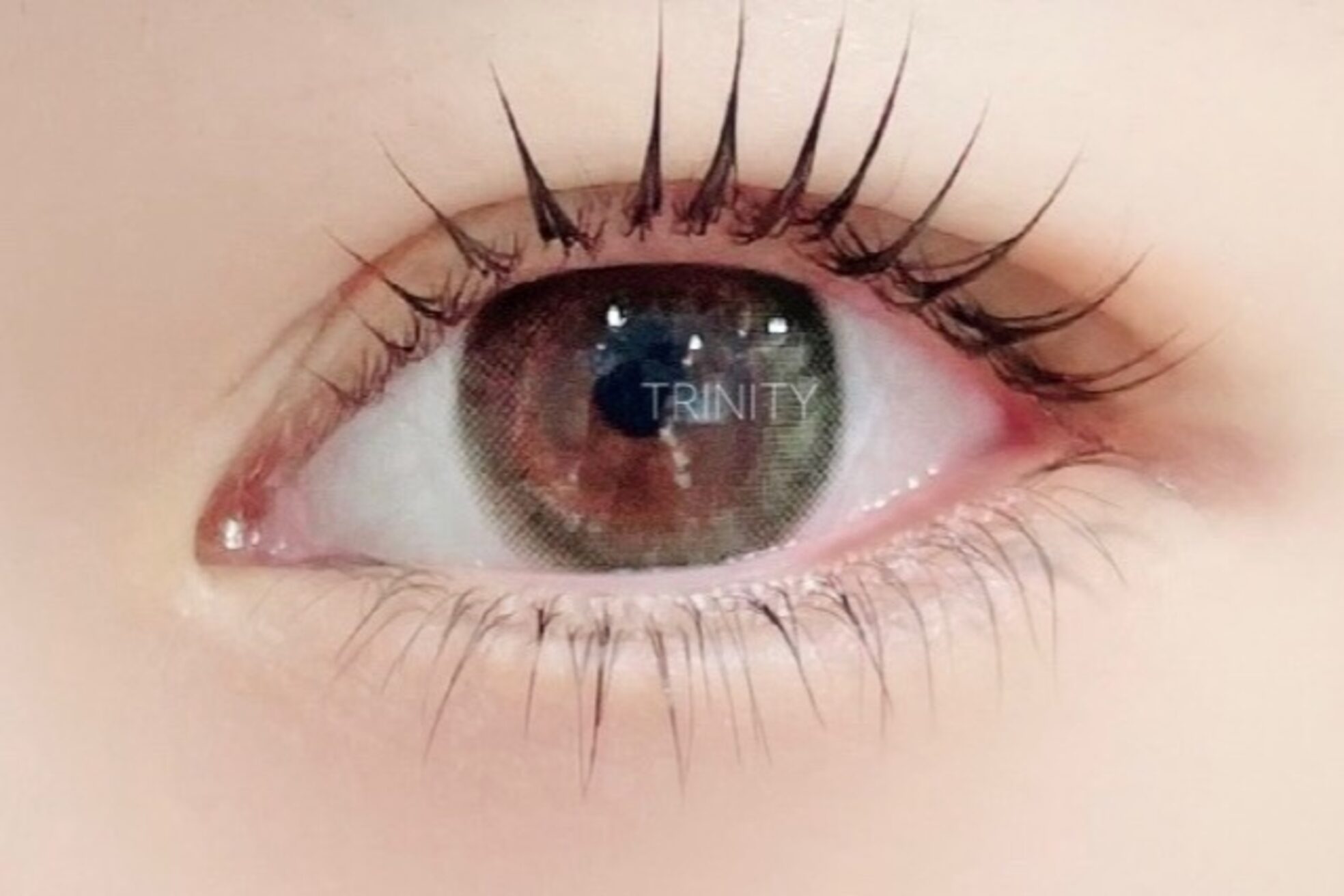 トリニティー(TRINITY)8