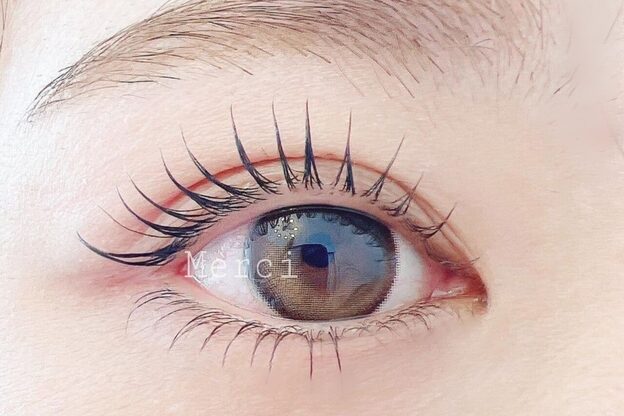 メルシー(Merci)3