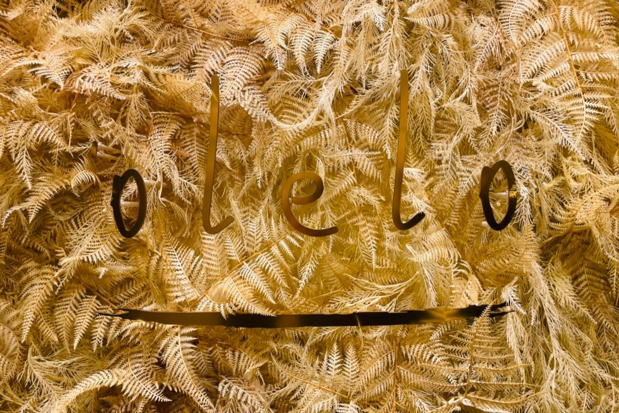 オレロ 国立(olelo)13