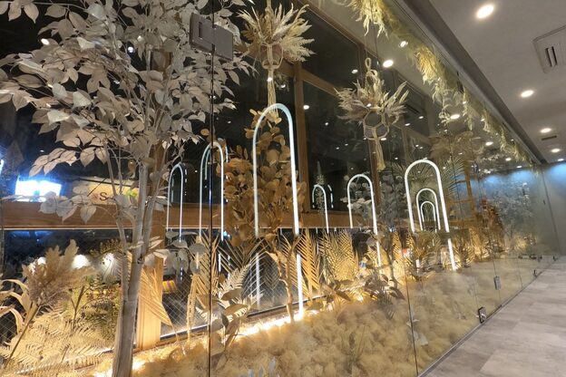 オレロ 国立(olelo)17