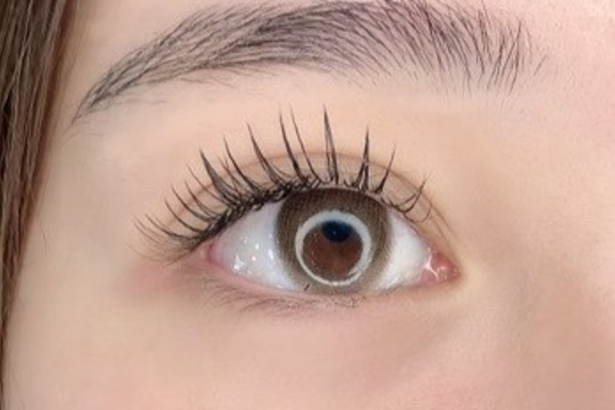 シュガーアイプラス(SUGAR eye plus)4