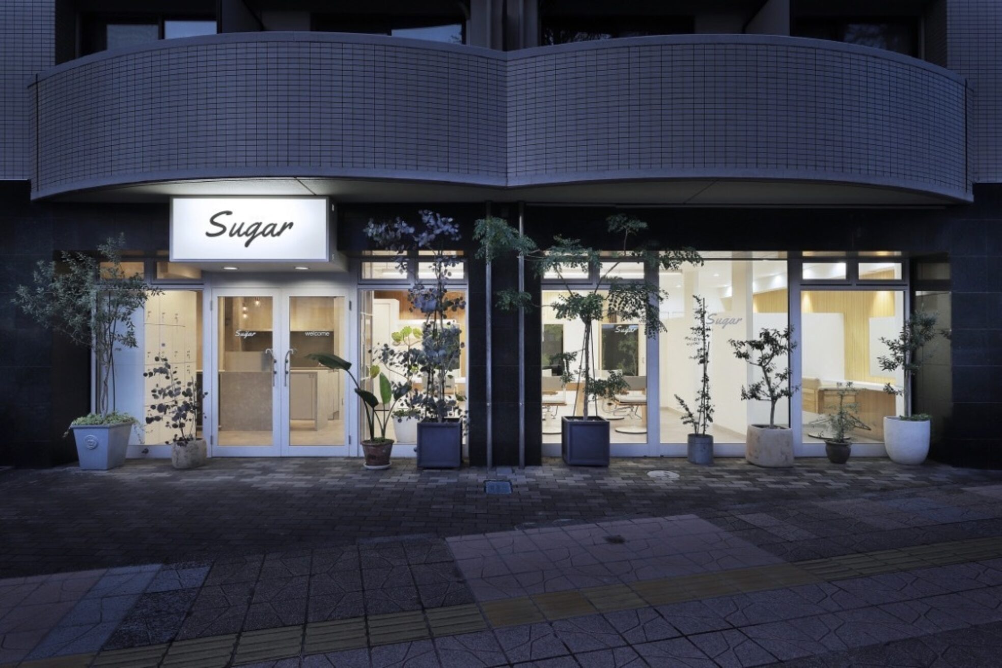 シュガー(Sugar)2