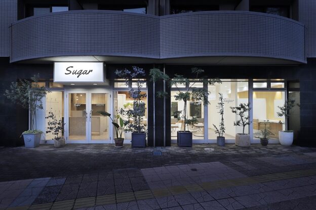 シュガー(Sugar)2