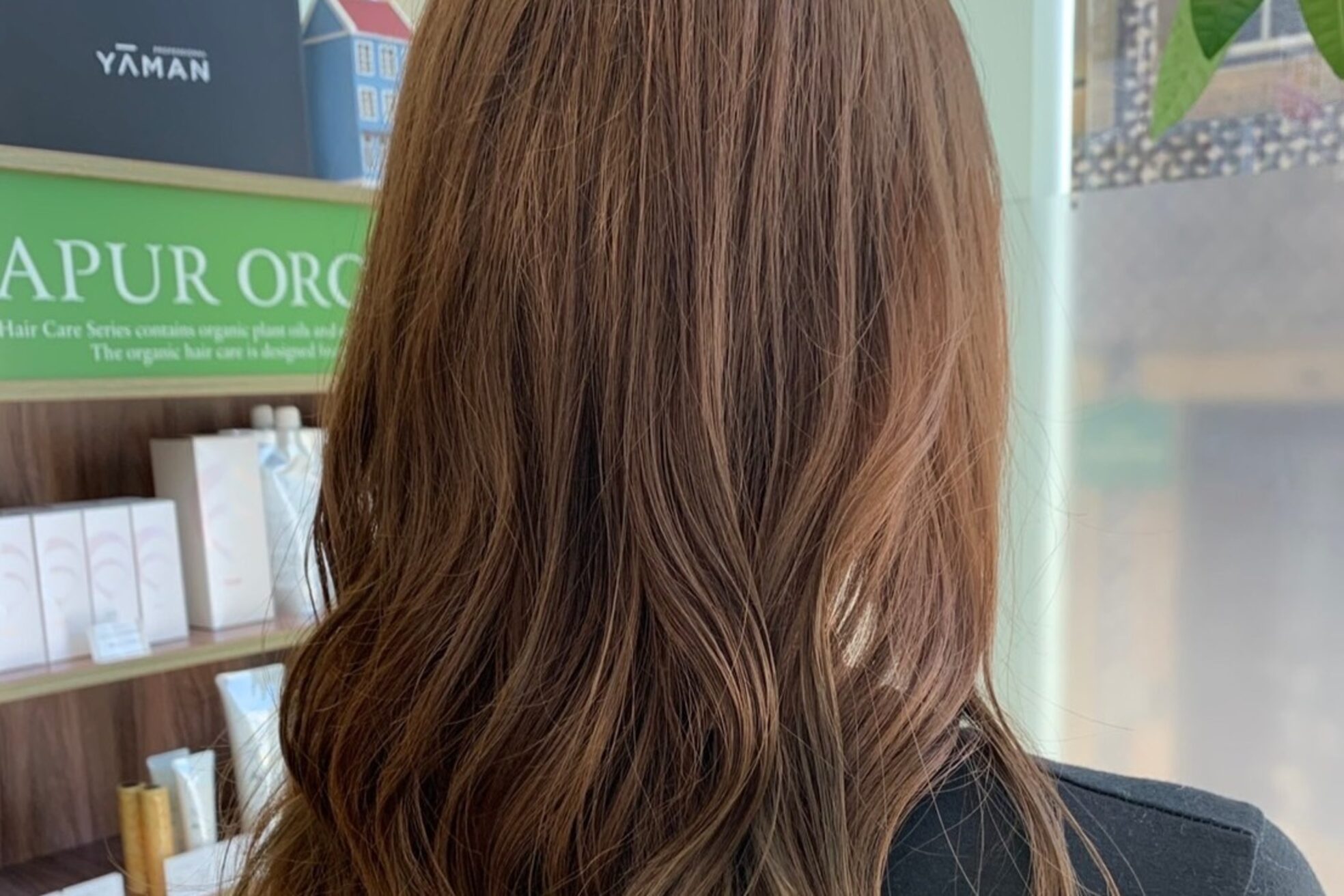 デイジー(Daisy)10