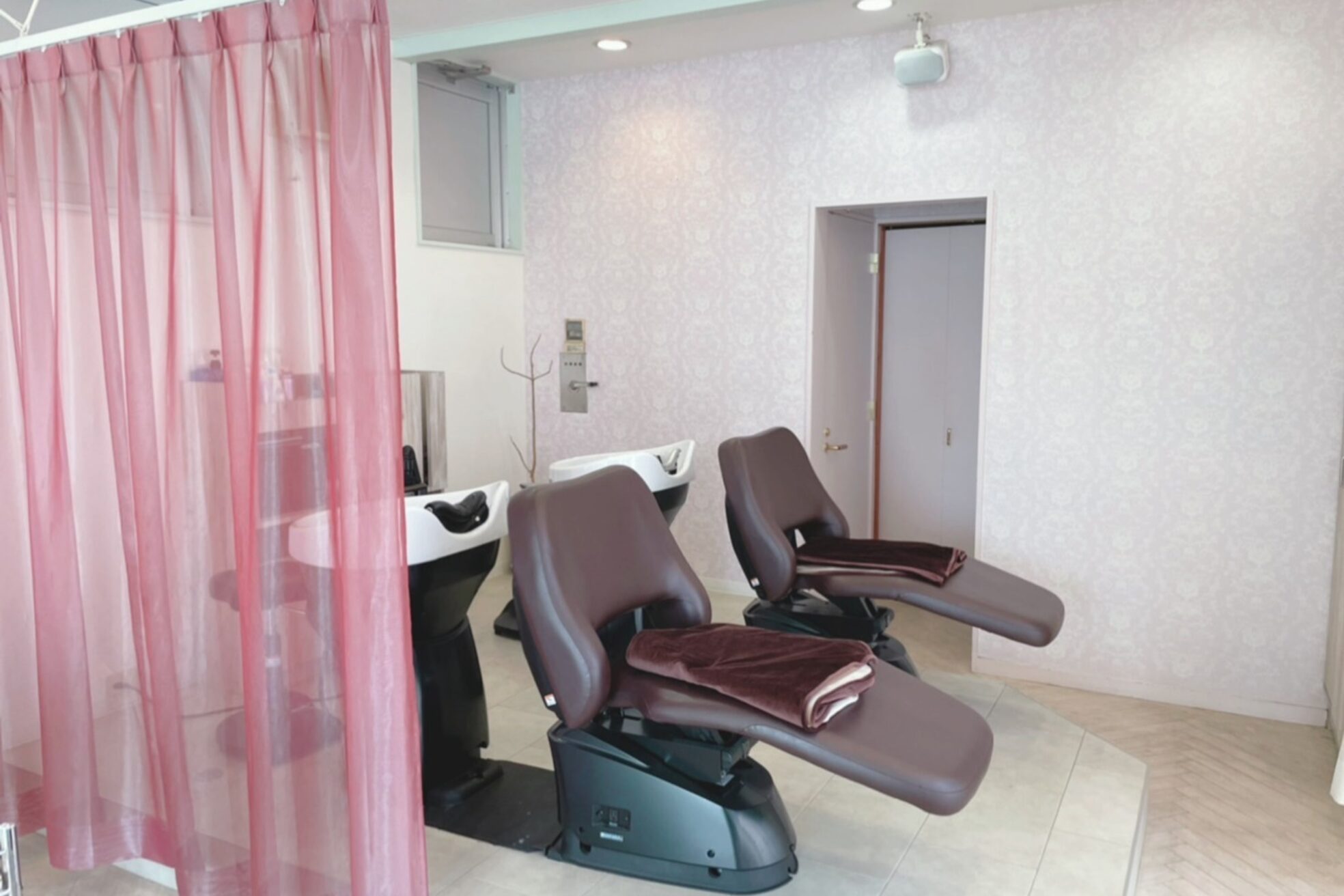 デイジー(Daisy)9