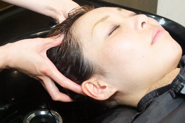 サンクチュアリイリス (Sanctuary Iris)12