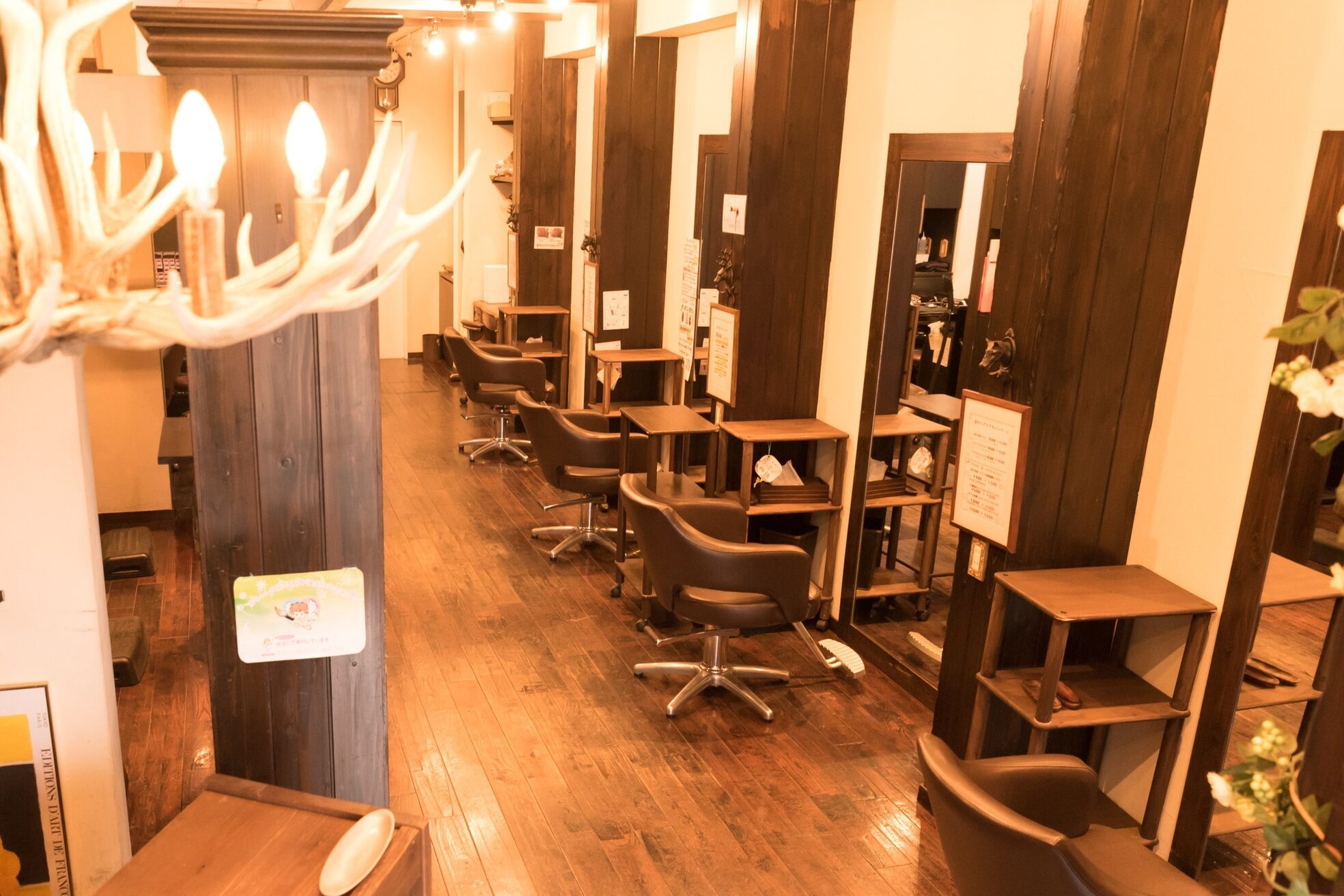 サンクチュアリイリス (Sanctuary Iris)1