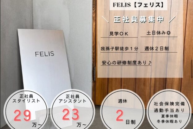 フェリス(FELIS)1
