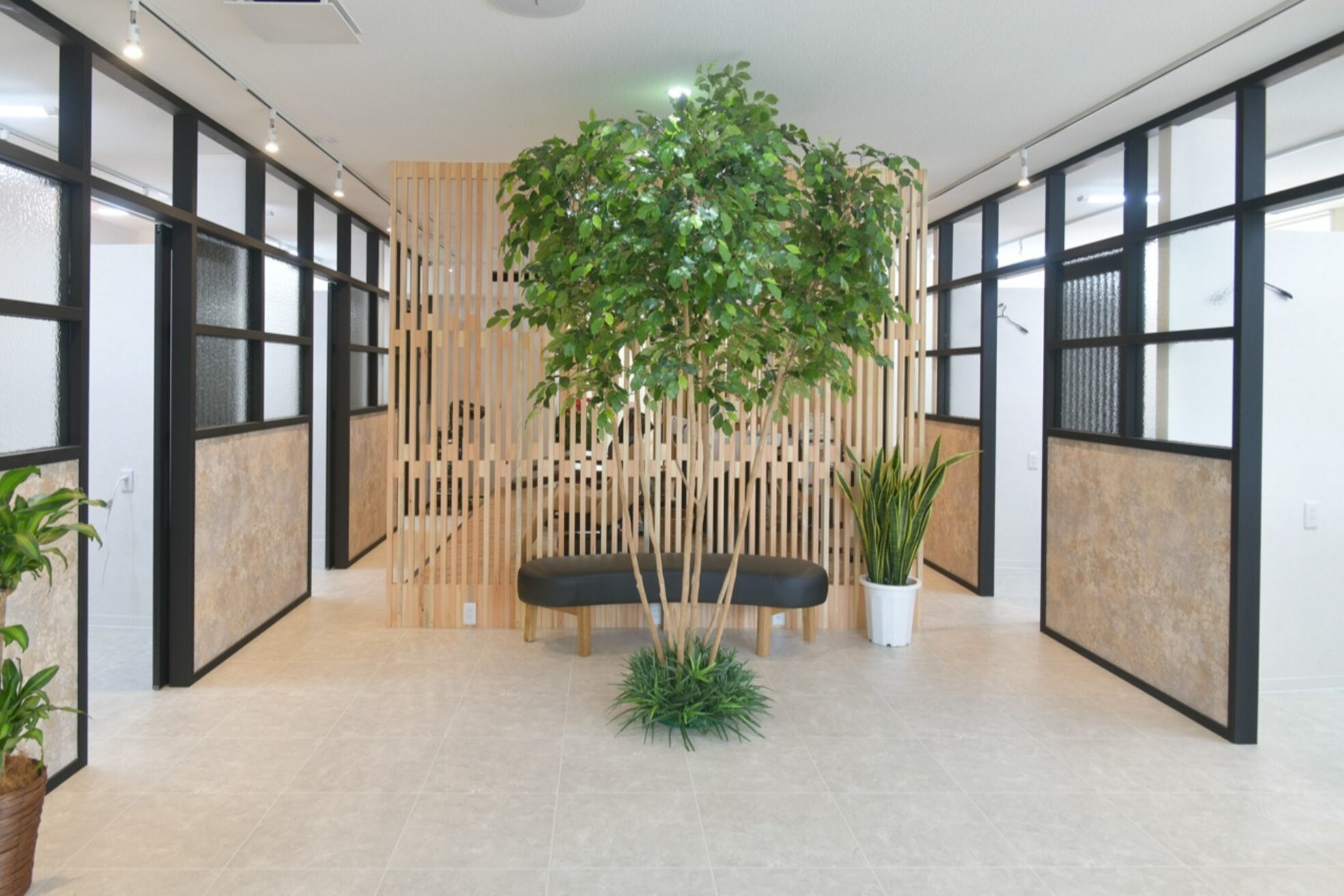 ゼロ プラベ(Zero Prave)1