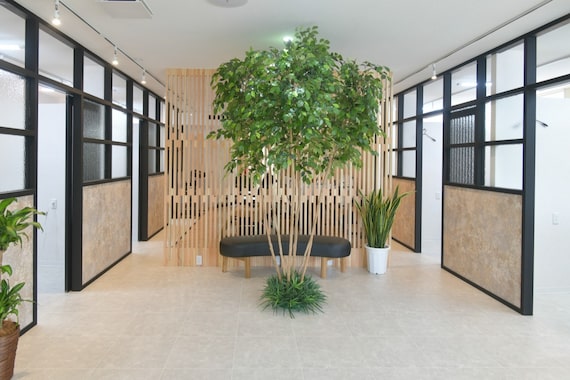 ゼロ プラベ(Zero Prave)