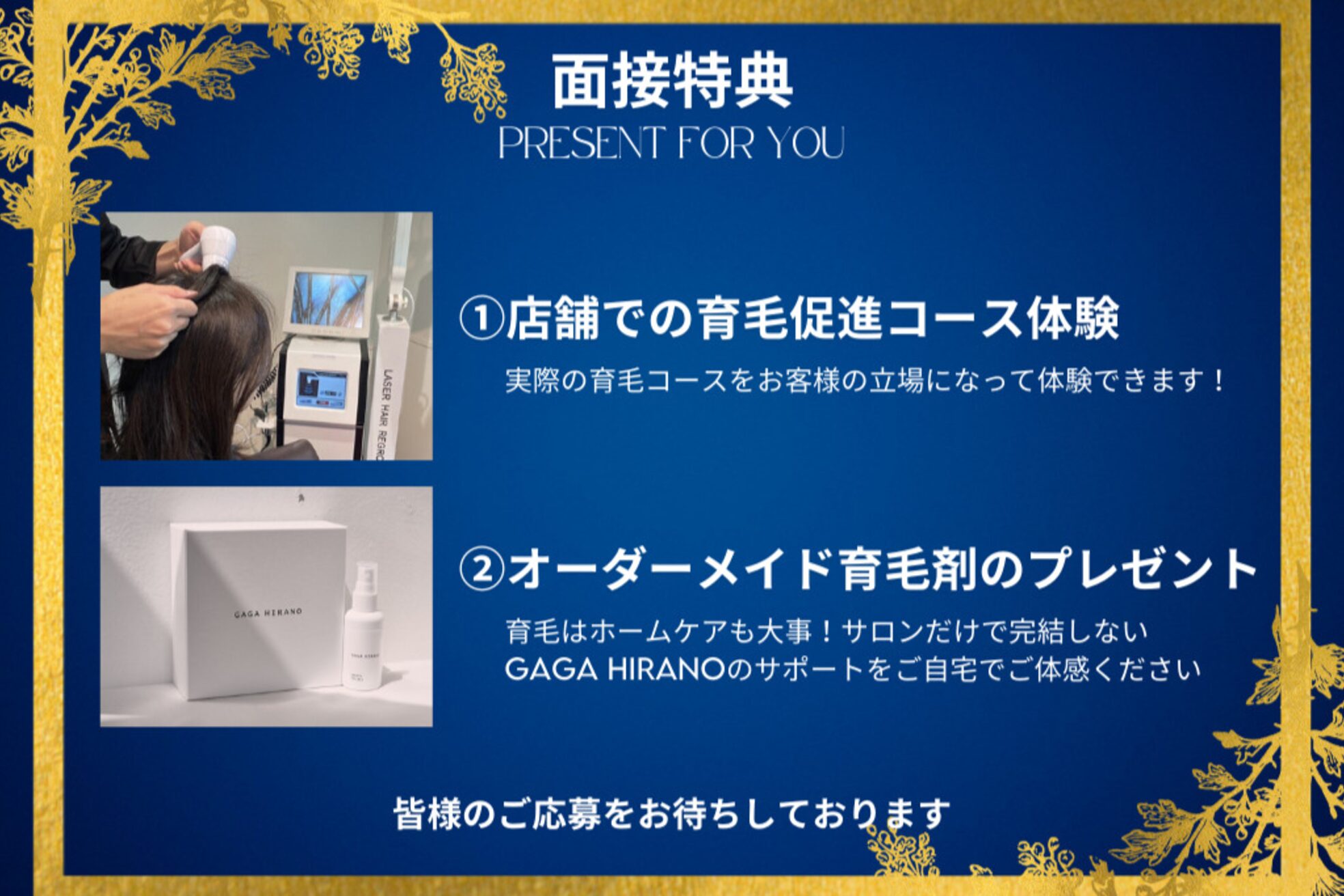 ガガヒラノ(GAGA HIRANO)3