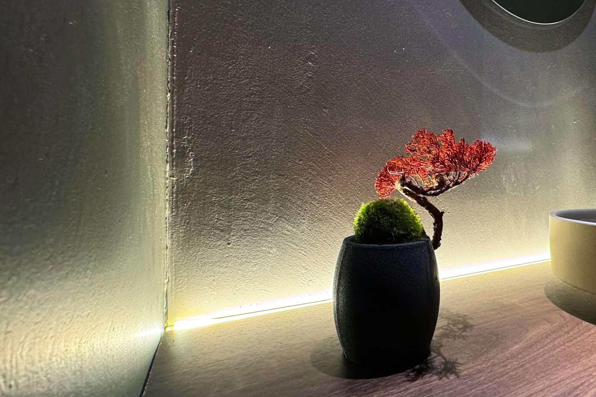 ルー ハナレ 神戸岡本 摂津本山店(Luu HANARE)12