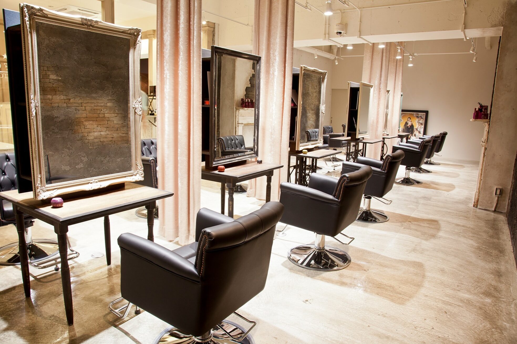 アレクサンドルオブカラーズモリノサト(ALEXANDRE OF COLORS MORINOSATO)3