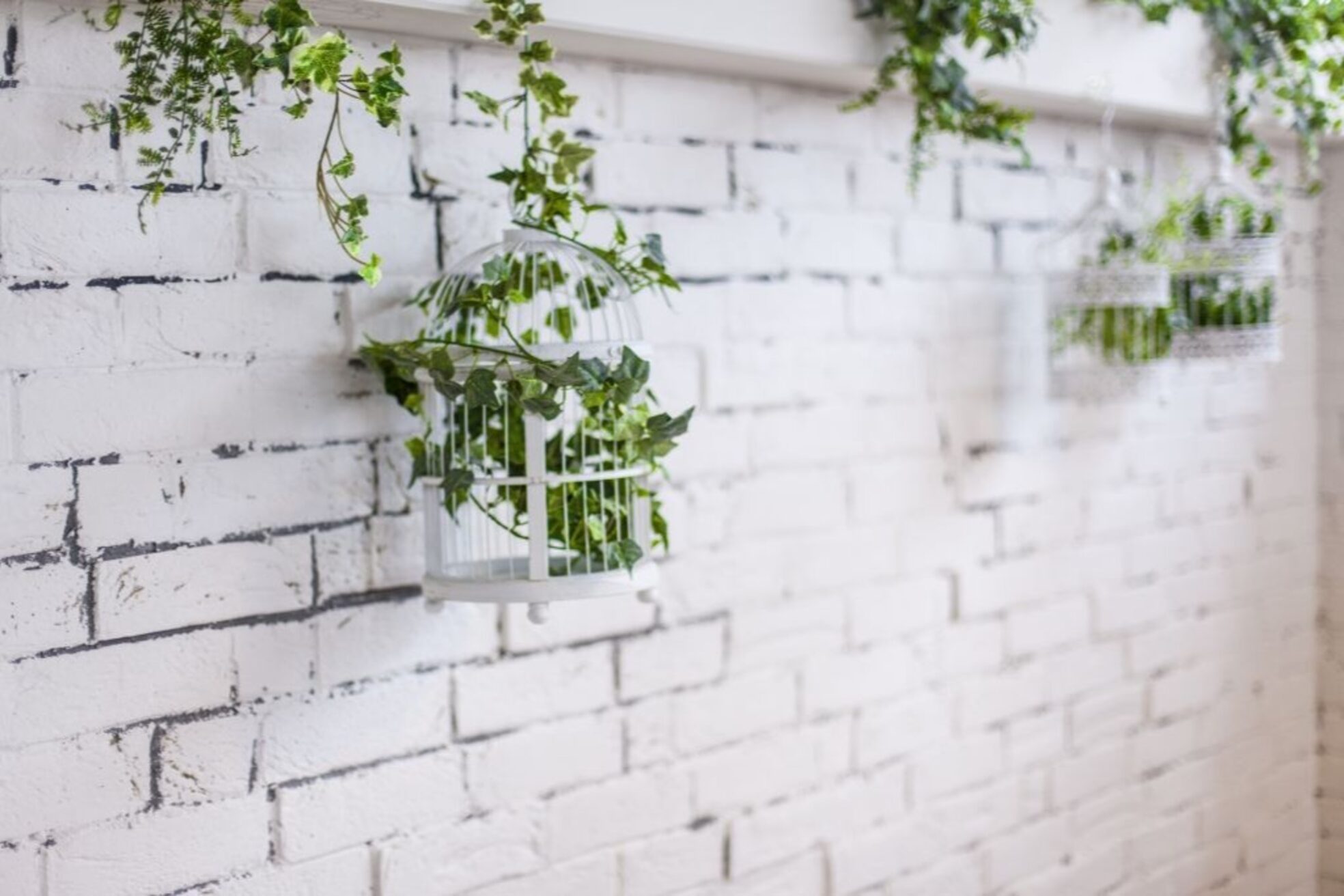 アトリウム (ATRIUM beauty life)4