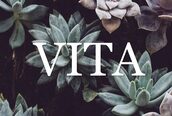 ヴィータ(VITA)