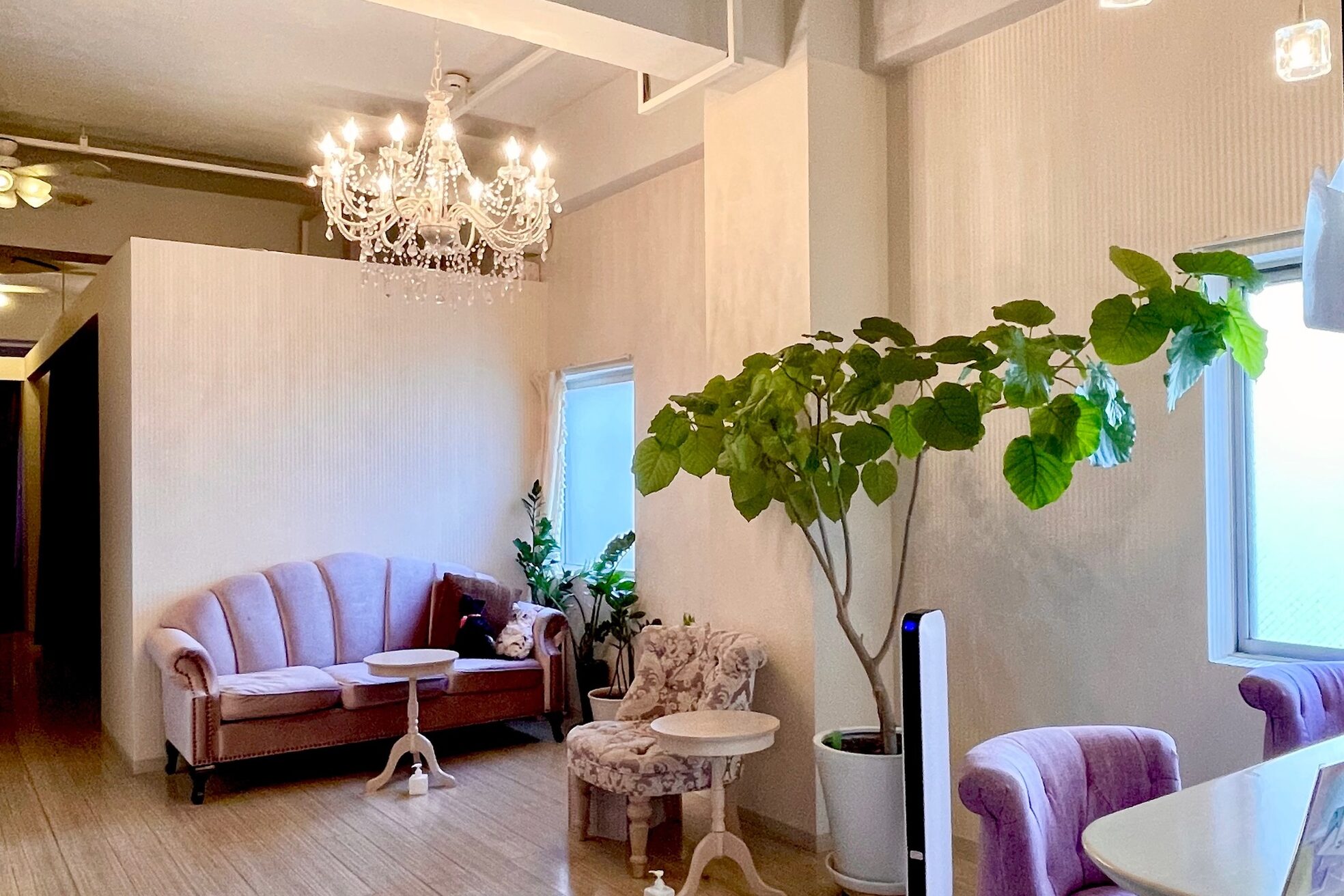 リマーノ 伏見本店(Re:mano)1