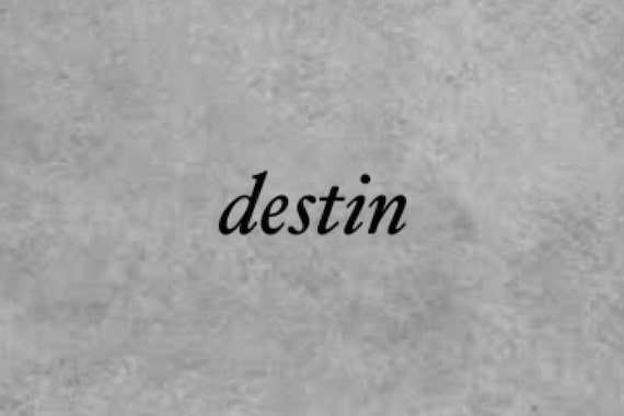 デスタン(destin)