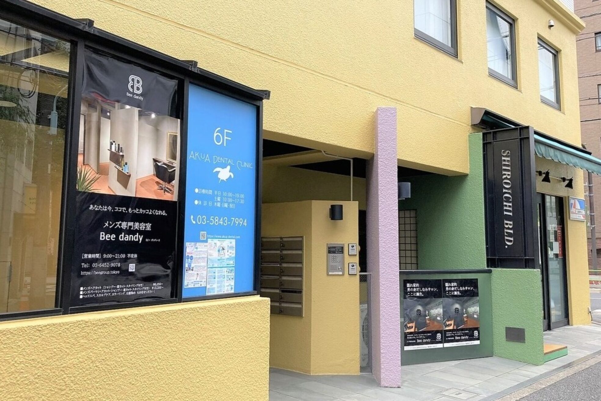 ビーダンディー(Bee dandy)6