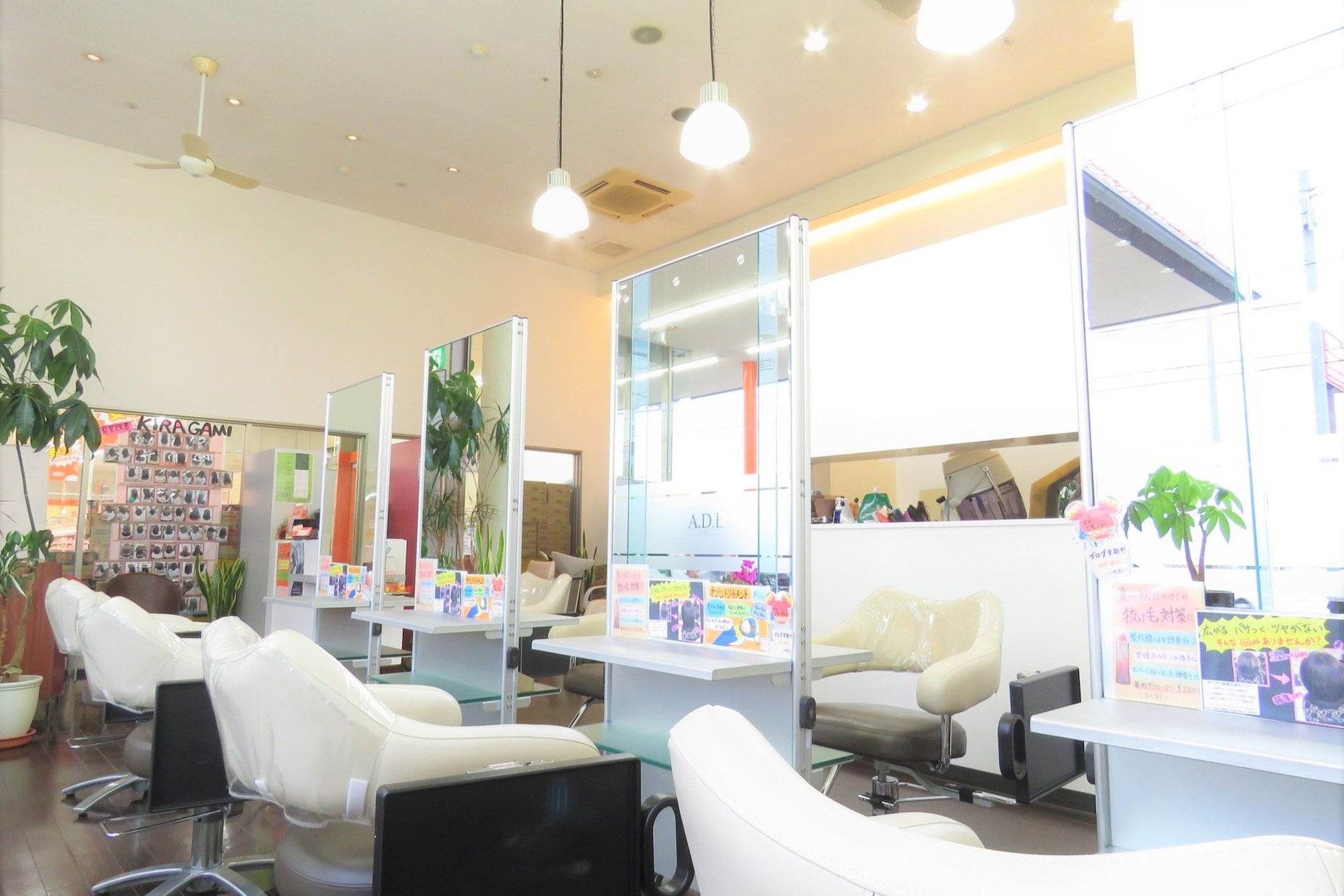 シンシア(sincere)2