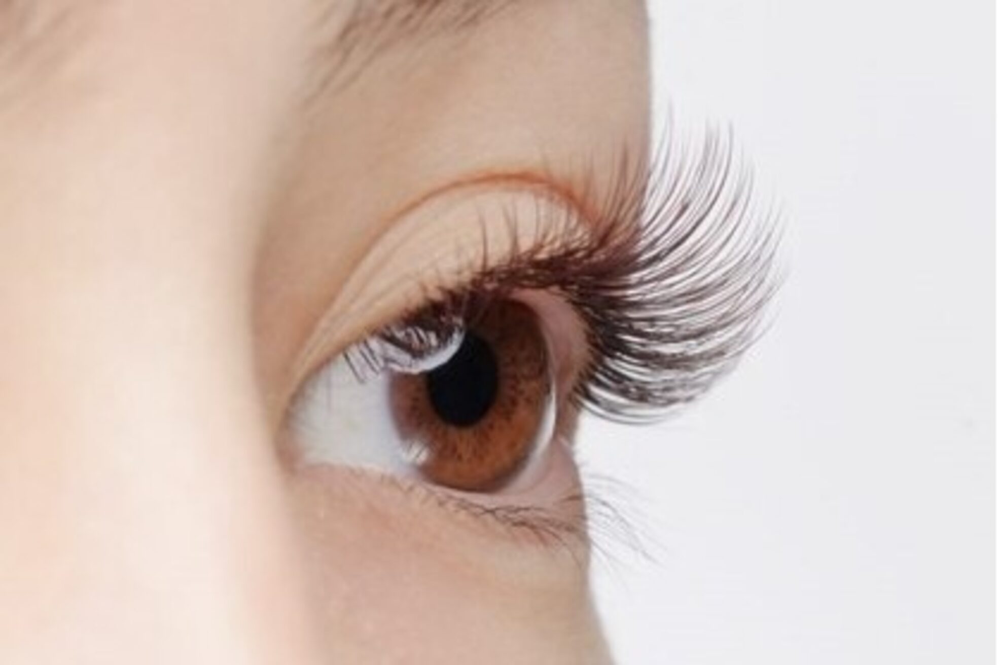 ラヴィーナプレミアム 西葛西(LavenuPremium)2