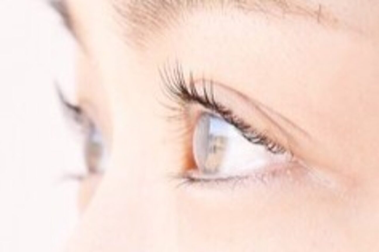 ラヴィーナ（セルテック　株式会社）画像1