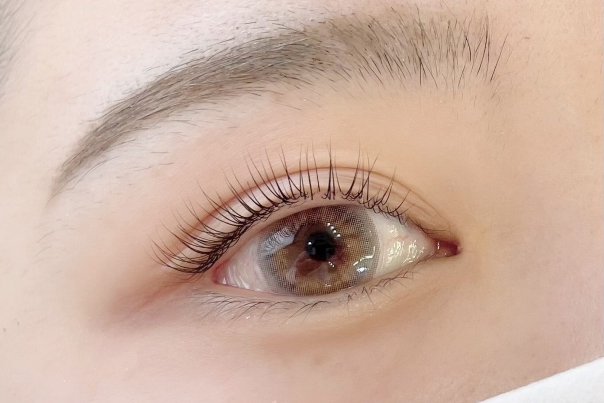 エルアローズ(Elua Rose)2