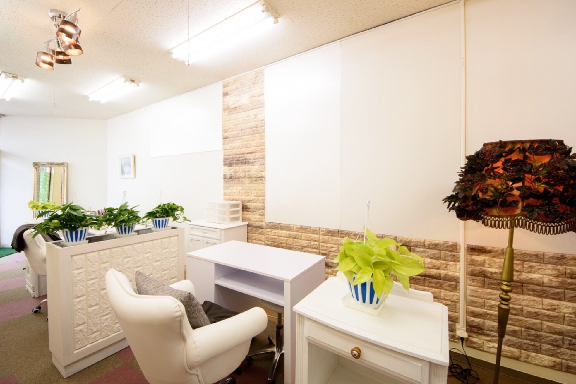 エルア ローズ(Elua Rose)3