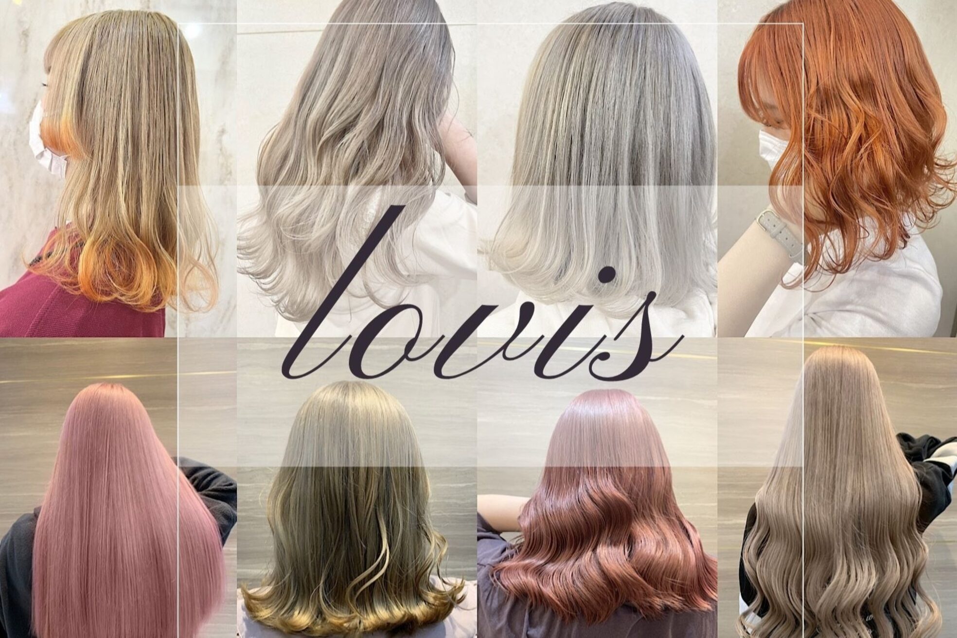 ラビス クローバー(Lovis clover)2