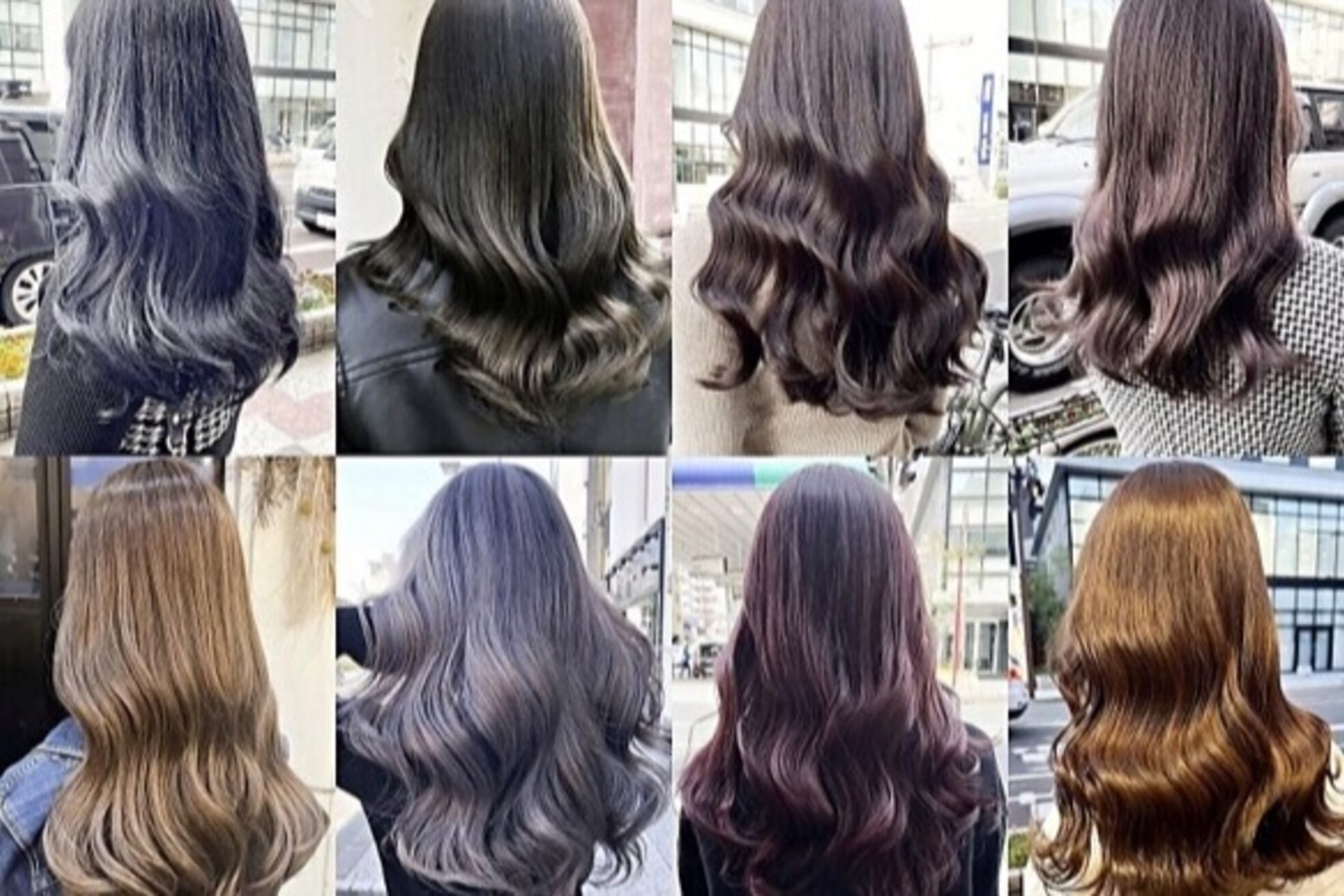 ロサ ファイブヘアー(Rosa..5Hair)3