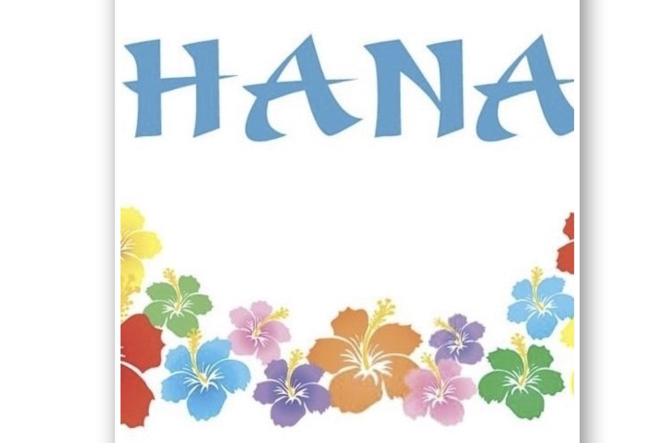 HANA画像1