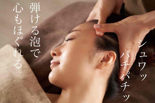 フェアリーテイル エクセレント(Fairy tail Excellent)16