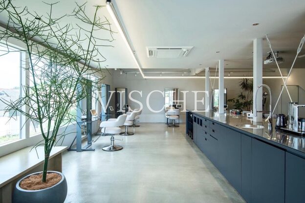 ビスチェ(Vische)5