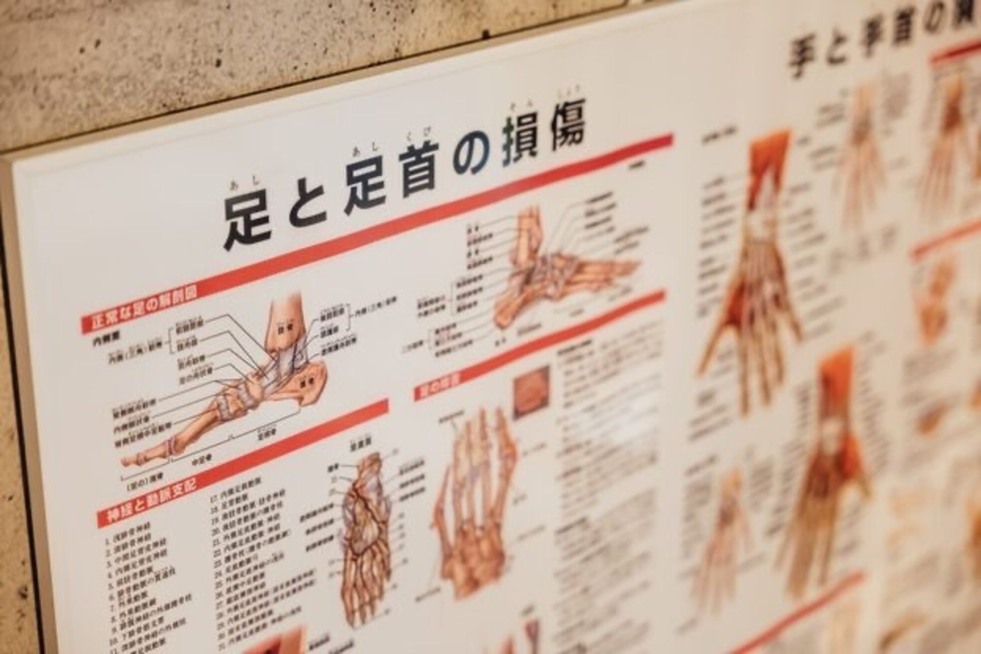 あしから美人 札幌駅前店26