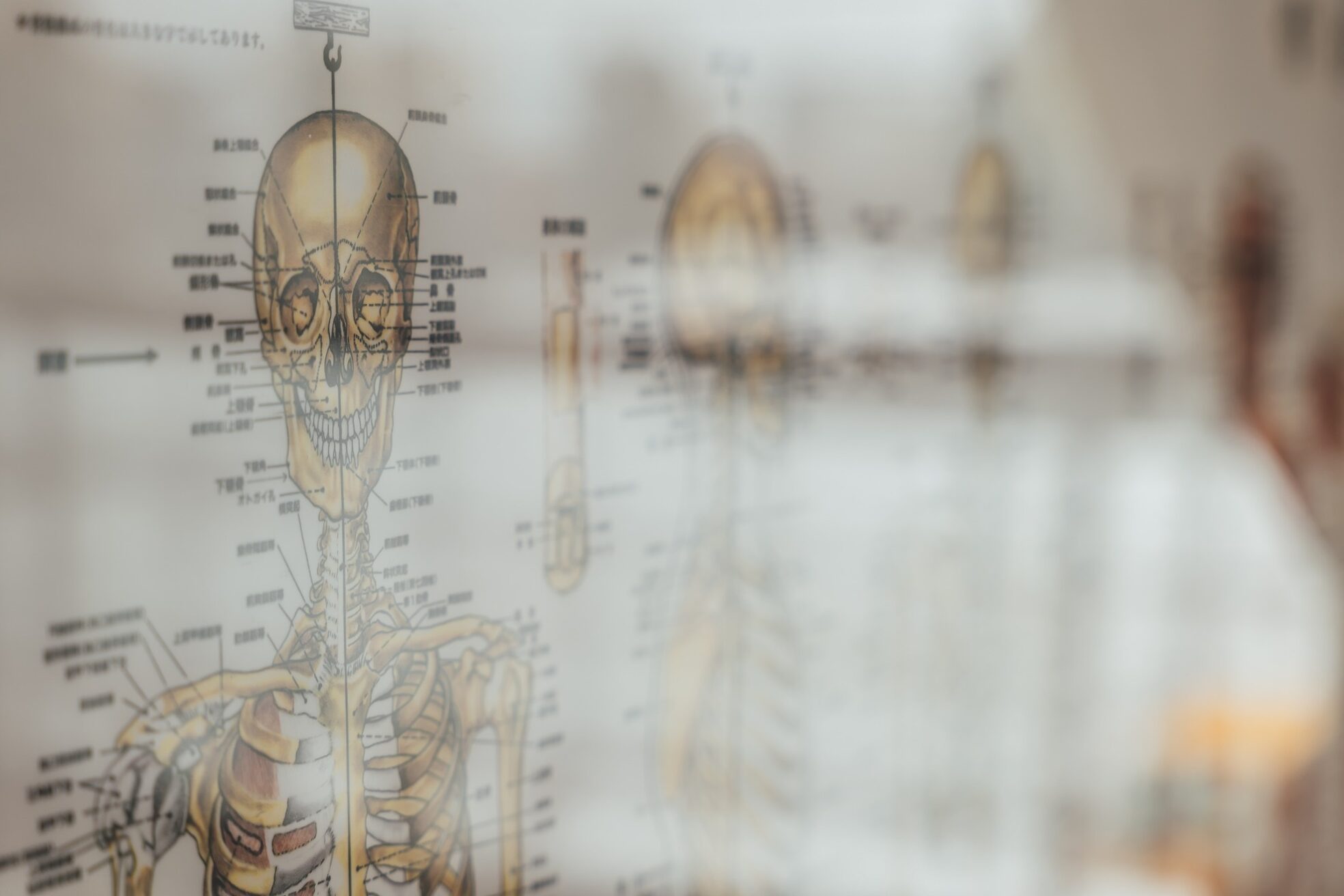 筋肉整復療法 整体サロン 南郷7丁目店27