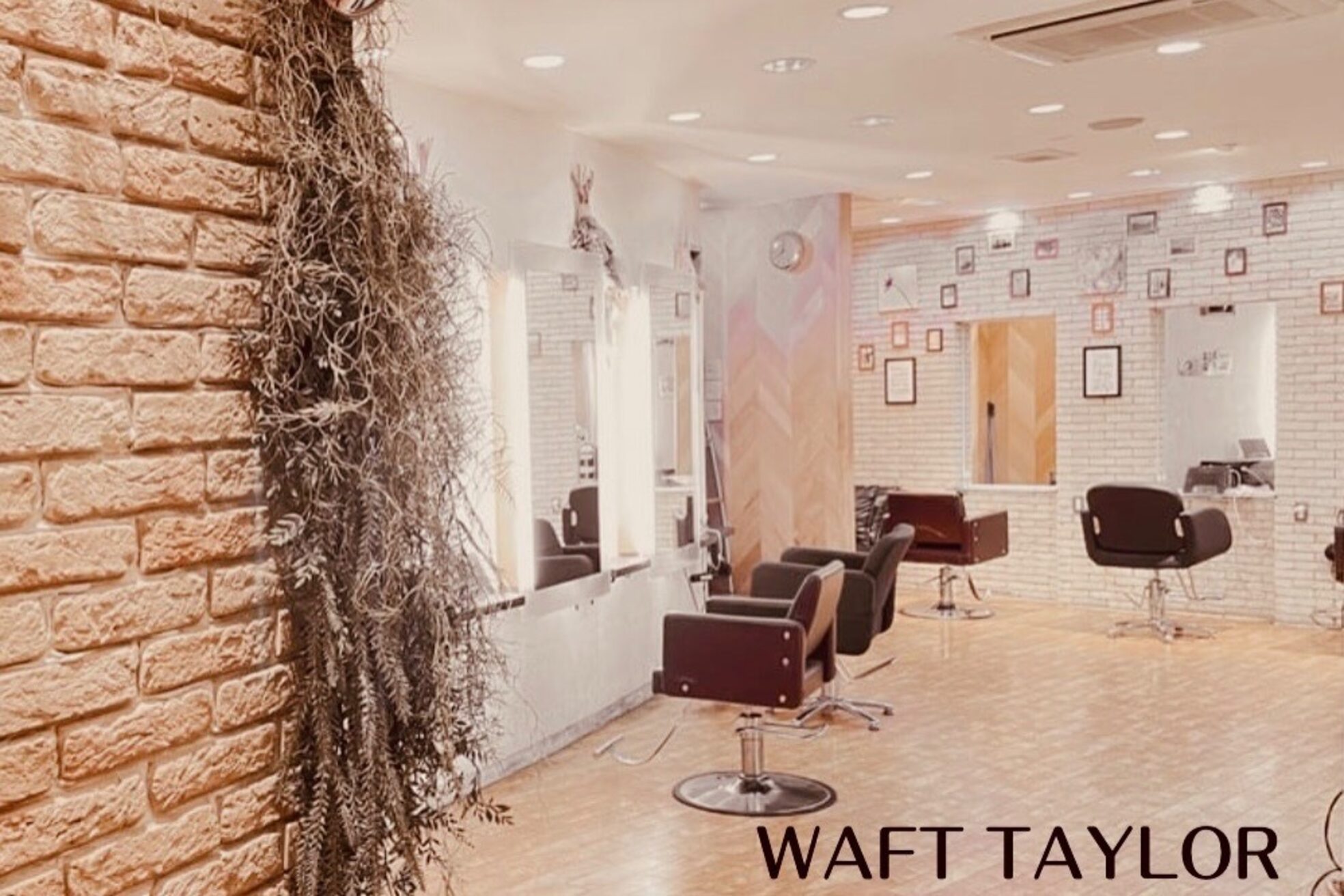 ワフトテイラー(Waft Taylor)3