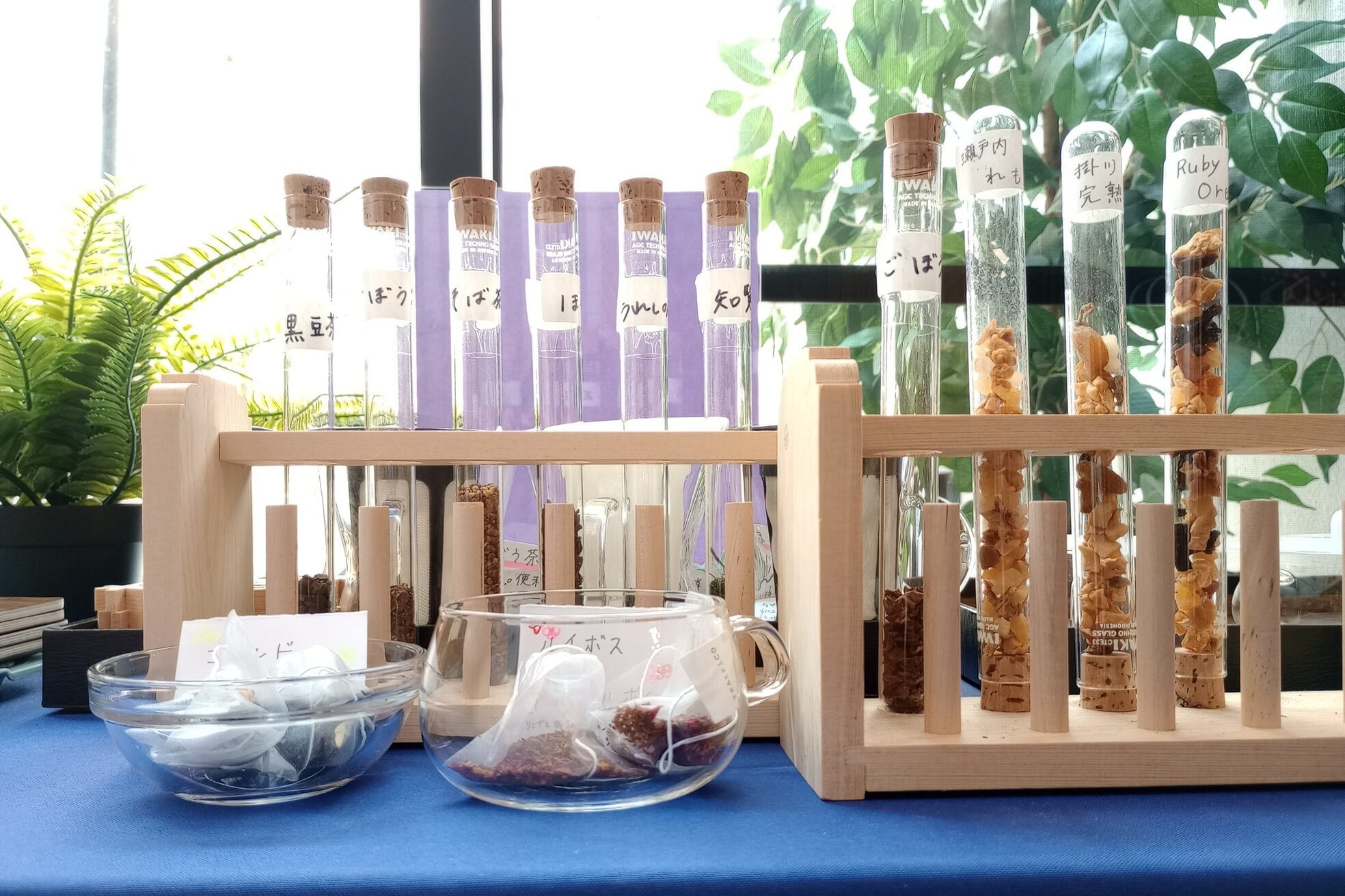 シキホマレ(shiki-homare)12